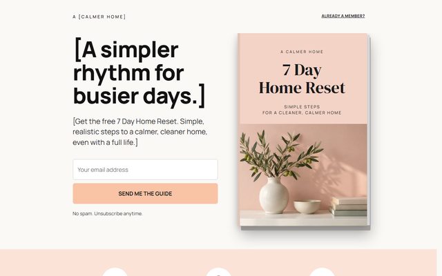 Opt-in page template
